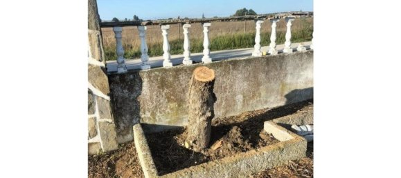 Casa T10 em Montijo, Portugal N.º 84522 21