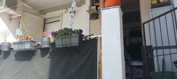 5 rooms House in Viareggio, Italy No. 258631 34