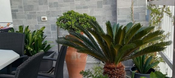 5 rooms House in Viareggio, Italy No. 258631 36