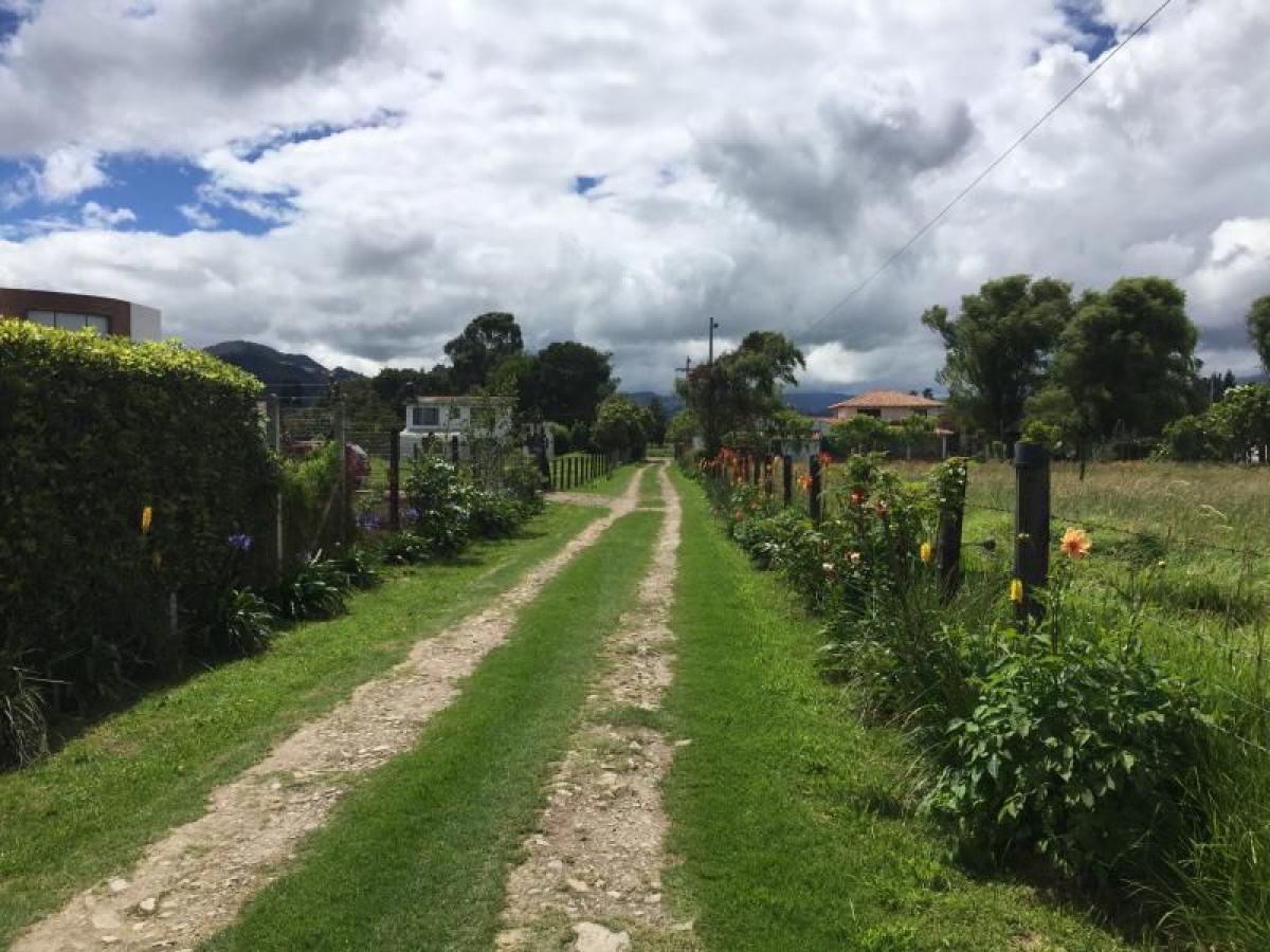 3 bedrooms House in Cundinamarca, Colombia No. 4403