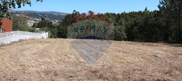 Terrain à Leiria, Portugal 4260m² No. 64295 11