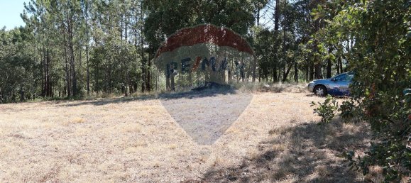 Terrain à Leiria, Portugal 4260m² No. 64295 10