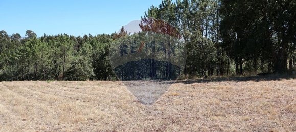 Terrain à Leiria, Portugal 4260m² No. 64295 9