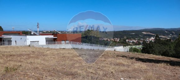 Terrain à Leiria, Portugal 4260m² No. 64295 6