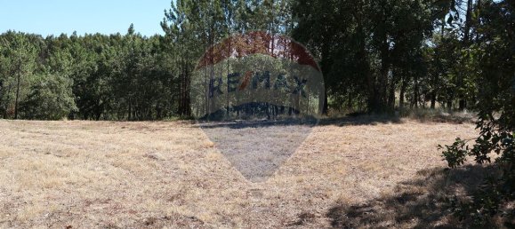 Terrain à Leiria, Portugal 4260m² No. 64295 12