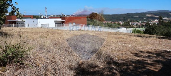Terrain à Leiria, Portugal 4260m² No. 64295 8