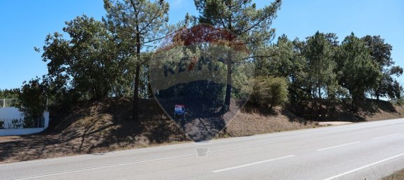 Terrain à Leiria, Portugal 4260m² No. 64295 14