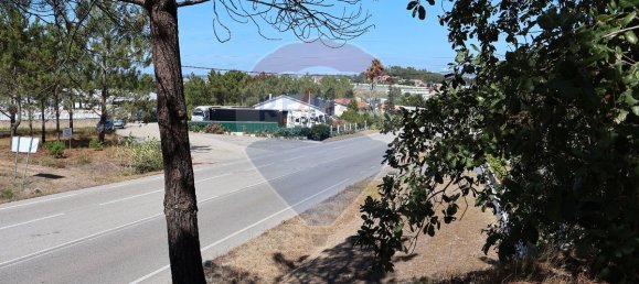 Terrain à Leiria, Portugal 4260m² No. 64295 5