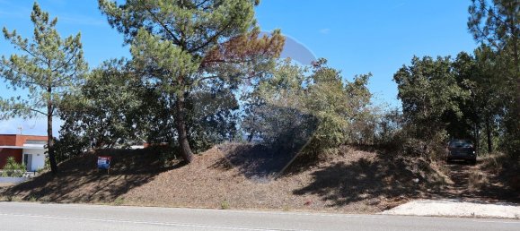 Terrain à Leiria, Portugal 4260m² No. 64295 13