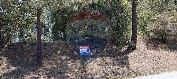 Terrain à Leiria, Portugal 4260m² No. 64295 15