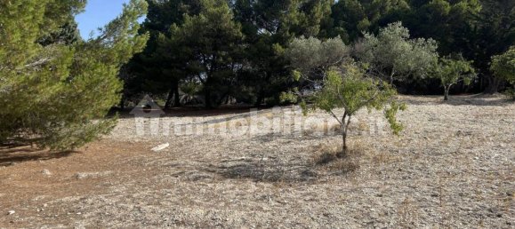 Terrain à Licata, Italy 14000m² No. 120619 8