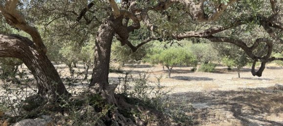 Terrain à Licata, Italy 14000m² No. 120619 7