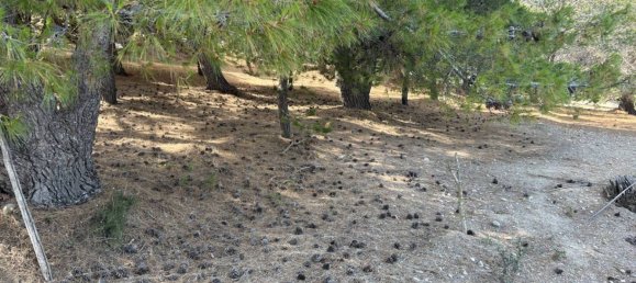 Terrain à Licata, Italy 14000m² No. 120619 19