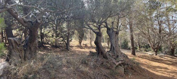 Terrain à Licata, Italy 14000m² No. 120619 11