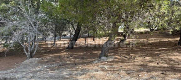 Terrain à Licata, Italy 14000m² No. 120619 9