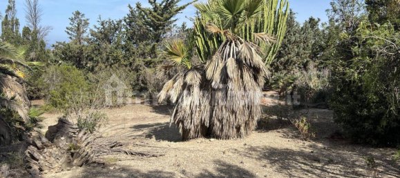 Terrain à Licata, Italy 14000m² No. 120619 17