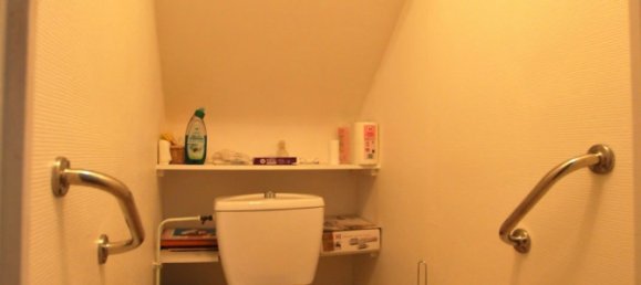 2 bedrooms House in Ouzouer-sur-Trezee, France No. 65872 12