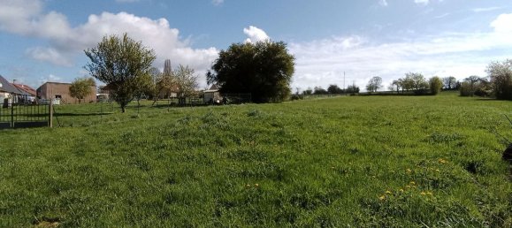 Terrain à Phalsbourg, France 4500m² No. 258455 5