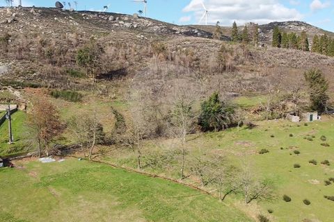 Земельный участок 190582м² в Селорику ди Башту, Португалия № 190048