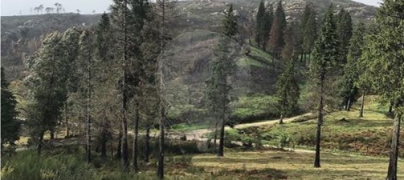 Земельный участок 190582м² в Селорику ди Башту, Португалия № 190048 20