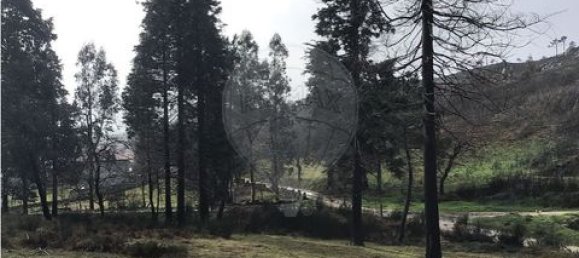 Земельный участок 190582м² в Селорику ди Башту, Португалия № 190048 18