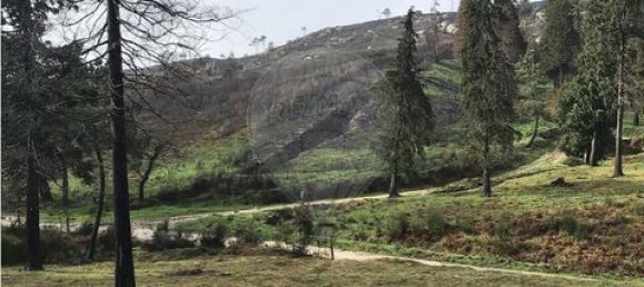 Земельный участок 190582м² в Селорику ди Башту, Португалия № 190048 19