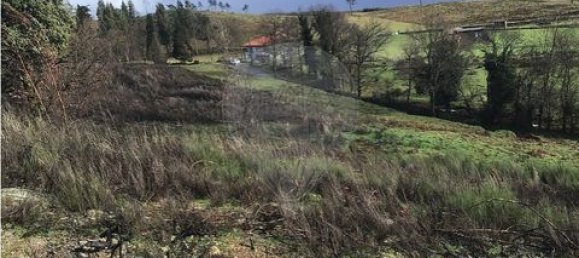 Земельный участок 190582м² в Селорику ди Башту, Португалия № 190048 16