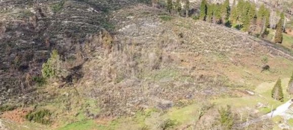 Земельный участок 190582м² в Селорику ди Башту, Португалия № 190048 10