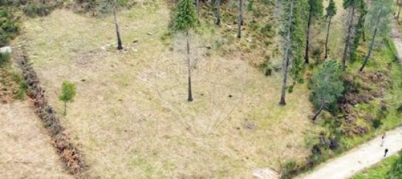 Земельный участок 190582м² в Селорику ди Башту, Португалия № 190048 5