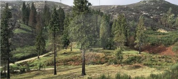 Земельный участок 190582м² в Селорику ди Башту, Португалия № 190048 14