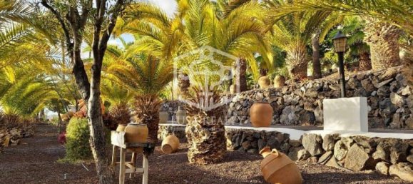 9 chambres Villa à Guia de Isora, Spain No. 11416 11