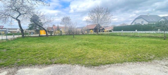 5-salle Maison à Gollersdorf, Austria No. 189303 22