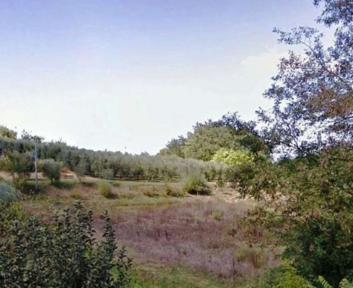 Grundstück in San Miniato, Italy 1000m², Nr. 160410