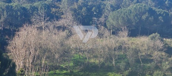 4 bedrooms House in Sintra, Portugal No. 125764 17