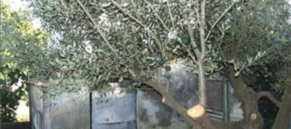 Студия в Пьомбино, Италия № 1560 6