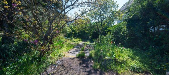  Land in Gerasdorf bei Wien, Austria No. 154471 6