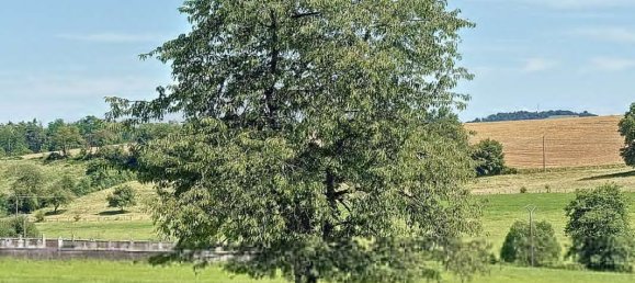 Дом с 4 спальнями в Мартенвель, Франция № 52832 9