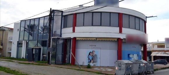 Недвижимость 1000м² в Халкидики, Центральная Македония, Македония и Фракия, Греция № 7494 3