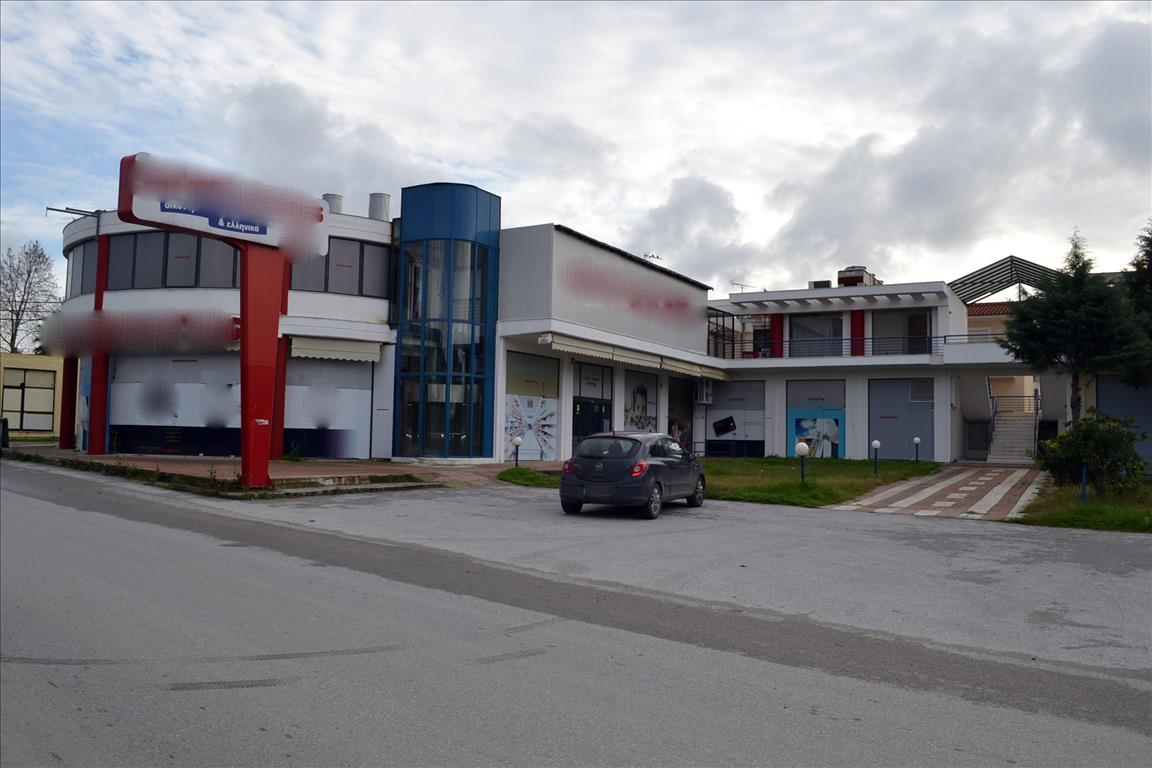 Недвижимость 1000м² в Халкидики, Центральная Македония, Македония и Фракия, Греция № 7494