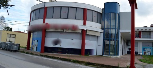 Недвижимость 1000м² в Халкидики, Центральная Македония, Македония и Фракия, Греция № 7494 2