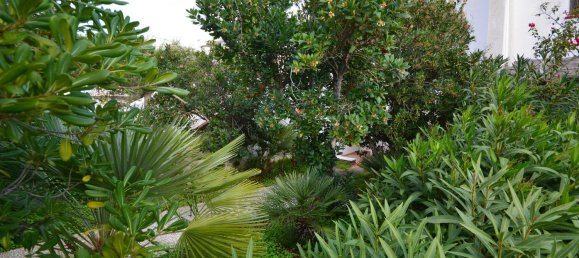 Apartamento de 3 divisões em Stintino, Italy N.º 137213 21