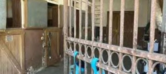 5694m² Building in Sant'Angelo di Piove di Sacco, Italy No. 363300 36