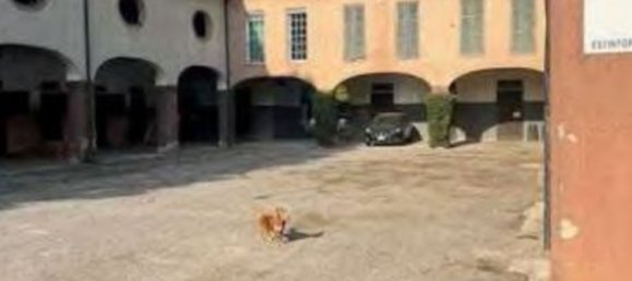 5694m² Building in Sant'Angelo di Piove di Sacco, Italy No. 363300 11