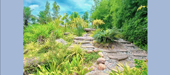 Café / restaurante T3 em Pattaya, Thailand N.º 10515 3