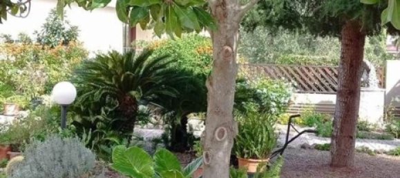 5 rooms Villa in Crispiano, Italy No. 171895 5