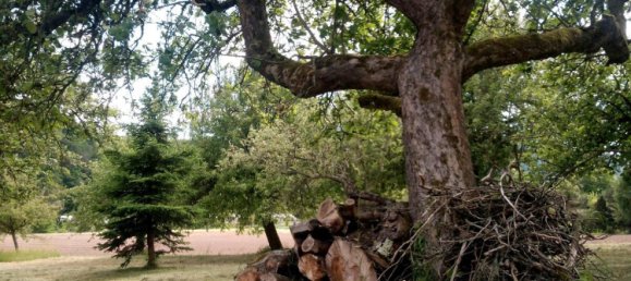  قطعة أرض في Wurzburg, Germany رقم 225311 10