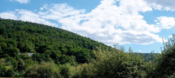  قطعة أرض في Wurzburg, Germany رقم 225311 2