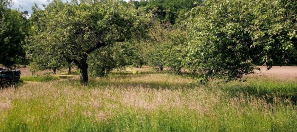  قطعة أرض في Wurzburg, Germany رقم 225311 5