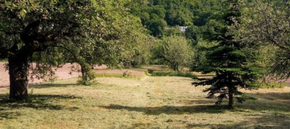  قطعة أرض في Wurzburg, Germany رقم 225311 3