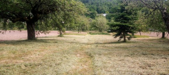  قطعة أرض في Wurzburg, Germany رقم 225311 11